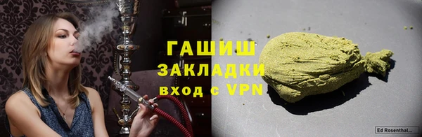 хмурый Арсеньев
