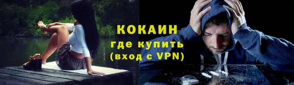 мдпв Няндома